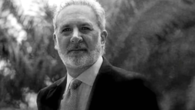 Peter Schiff Net Worth