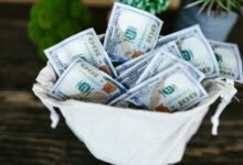 cyrus nikou financial overview