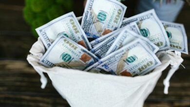 cyrus nikou financial overview