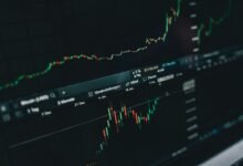 top stock picks insights