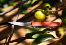 caller safety hotline numbers