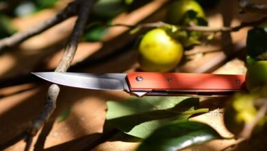 caller safety hotline numbers