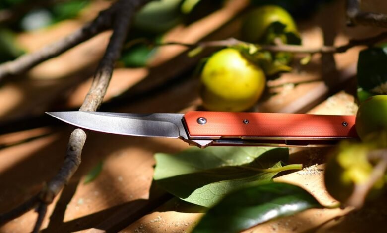 caller safety hotline numbers