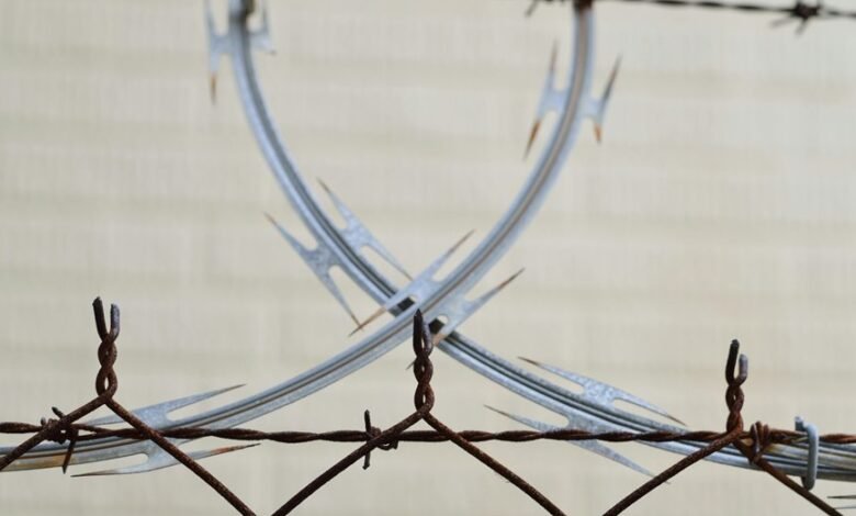 fraud detection hotline numbers