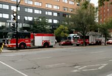 fraud hotline phone numbers