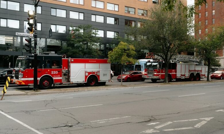 fraud hotline phone numbers