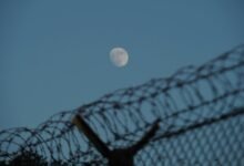 hotline security contact numbers