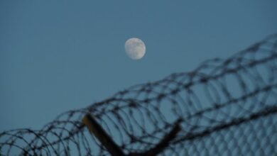 hotline security contact numbers