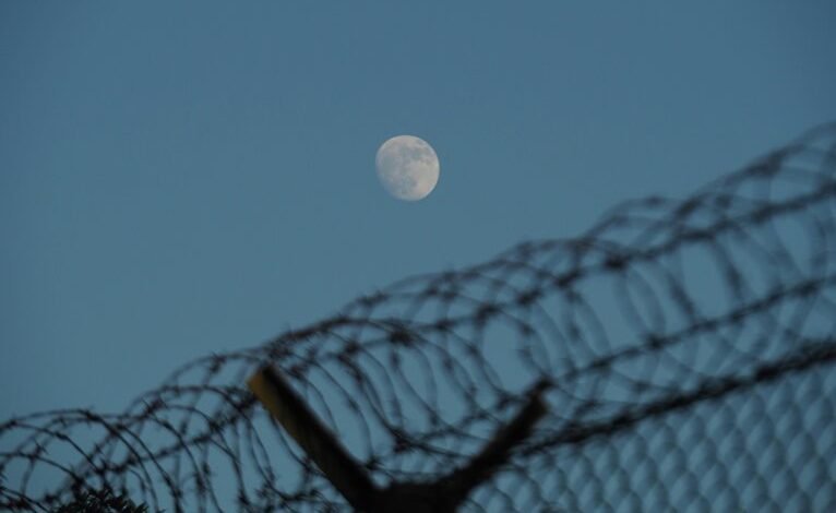 hotline security network numbers